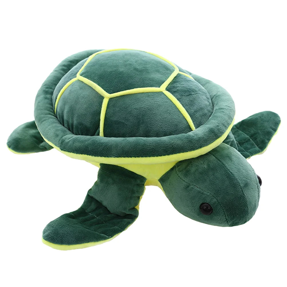 Cove The Turtle