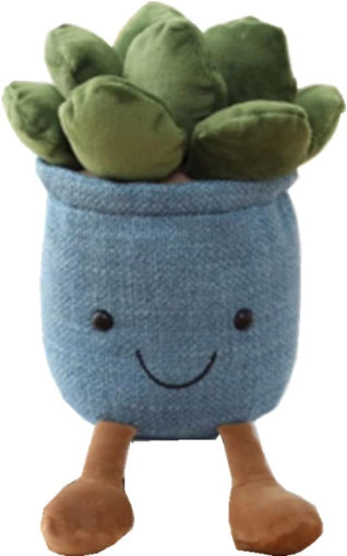 Cactus Carl